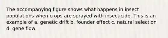 The accompanying figure shows what happens in insect populations when crops are sprayed with insecticide. This is an example of a. genetic drift b. founder effect c. natural selection d. gene flow