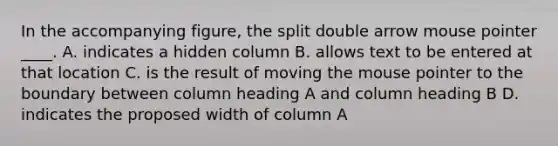 In the accompanying figure, the split double arrow mouse pointer ____. A. indicates a hidden column B. allows text to be entered at that location C. is the result of moving the mouse pointer to the boundary between column heading A and column heading B D. indicates the proposed width of column A