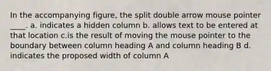 In the accompanying figure, the split double arrow mouse pointer ____. a. indicates a hidden column b. allows text to be entered at that location c.is the result of moving the mouse pointer to the boundary between column heading A and column heading B d. indicates the proposed width of column A