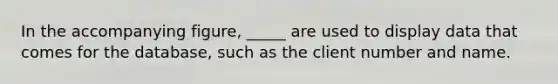 In the accompanying figure, _____ are used to display data that comes for the database, such as the client number and name.