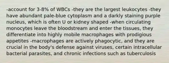 -account for 3-8% of WBCs -they are the largest leukocytes -they have abundant pale-blue cytoplasm and a darkly staining purple nucleus, which is often U or kidney shaped -when circulating monocytes leave the bloodstream and enter the tissues, they differentiate into highly mobile macrophages with prodigious appetites -macrophages are actively phagocytic, and they are crucial in the body's defense against viruses, certain intracellular bacterial parasites, and chronic infections such as tuberculosis