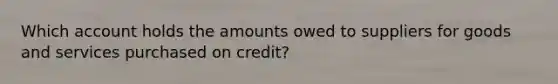 Which account holds the amounts owed to suppliers for goods and services purchased on credit?