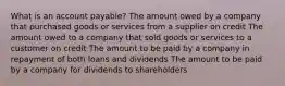 What is an account payable? The amount owed by a company that purchased goods or services from a supplier on credit The amount owed to a company that sold goods or services to a customer on credit The amount to be paid by a company in repayment of both loans and dividends The amount to be paid by a company for dividends to shareholders