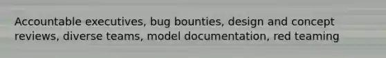 Accountable executives, bug bounties, design and concept reviews, diverse teams, model documentation, red teaming