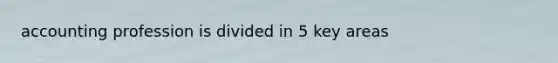 accounting profession is divided in 5 key areas