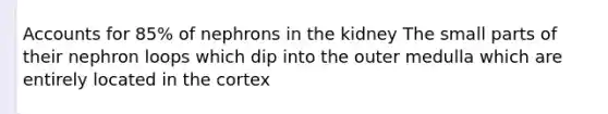 Accounts for 85% of nephrons in the kidney The small parts of their nephron loops which dip into the outer medulla which are entirely located in the cortex