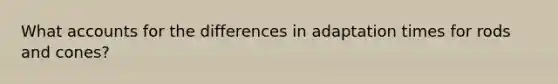 What accounts for the differences in adaptation times for rods and cones?