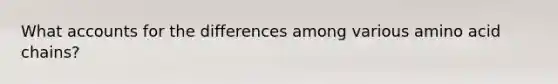 What accounts for the differences among various amino acid chains?