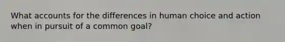 What accounts for the differences in human choice and action when in pursuit of a common goal?