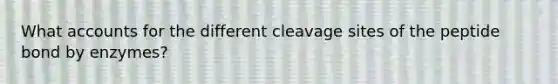 What accounts for the different cleavage sites of the peptide bond by enzymes?