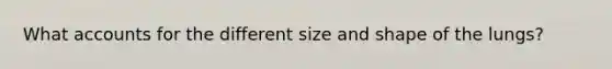 What accounts for the different size and shape of the lungs?