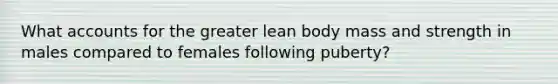 What accounts for the greater lean body mass and strength in males compared to females following puberty?