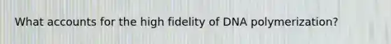 What accounts for the high fidelity of DNA polymerization?