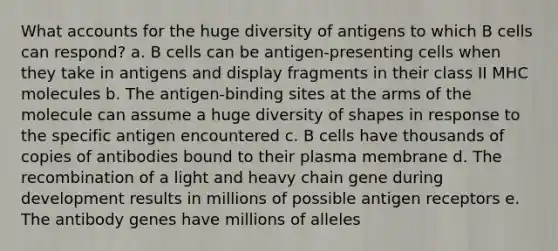 What accounts for the huge diversity of antigens to which B cells can respond? a. B cells can be antigen-presenting cells when they take in antigens and display fragments in their class II MHC molecules b. The antigen-binding sites at the arms of the molecule can assume a huge diversity of shapes in response to the specific antigen encountered c. B cells have thousands of copies of antibodies bound to their plasma membrane d. The recombination of a light and heavy chain gene during development results in millions of possible antigen receptors e. The antibody genes have millions of alleles