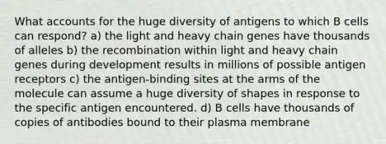 What accounts for the huge diversity of antigens to which B cells can respond? a) the light and heavy chain genes have thousands of alleles b) the recombination within light and heavy chain genes during development results in millions of possible antigen receptors c) the antigen-binding sites at the arms of the molecule can assume a huge diversity of shapes in response to the specific antigen encountered. d) B cells have thousands of copies of antibodies bound to their plasma membrane