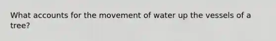 What accounts for the movement of water up the vessels of a tree?