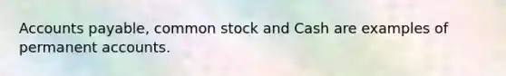 <a href='https://www.questionai.com/knowledge/kWc3IVgYEK-accounts-payable' class='anchor-knowledge'>accounts payable</a>, common stock and Cash are examples of permanen<a href='https://www.questionai.com/knowledge/k7x83BRk9p-t-accounts' class='anchor-knowledge'>t accounts</a>.