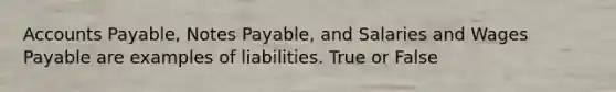 Accounts Payable, Notes Payable, and Salaries and Wages Payable are examples of liabilities. True or False