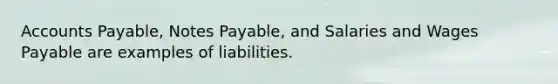 Accounts Payable, Notes Payable, and Salaries and Wages Payable are examples of liabilities.