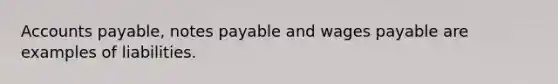 Accounts payable, notes payable and wages payable are examples of liabilities.