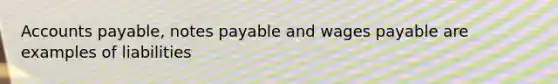 Accounts payable, notes payable and wages payable are examples of liabilities