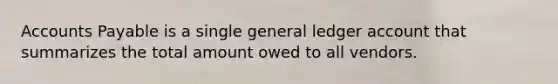 Accounts Payable is a single general ledger account that summarizes the total amount owed to all vendors.