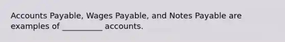 Accounts Payable, Wages Payable, and Notes Payable are examples of __________ accounts.