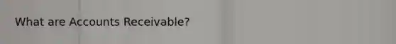 What are Accounts Receivable?