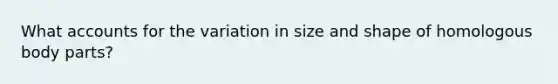 What accounts for the variation in size and shape of homologous body parts?