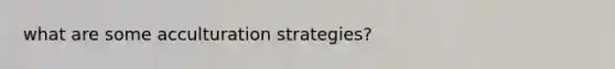 what are some acculturation strategies?