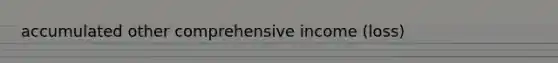 accumulated other comprehensive income (loss)