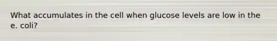 What accumulates in the cell when glucose levels are low in the e. coli?