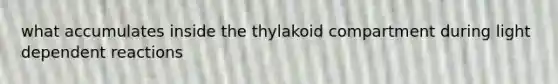 what accumulates inside the thylakoid compartment during light dependent reactions