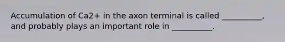 Accumulation of Ca2+ in the axon terminal is called __________, and probably plays an important role in __________.