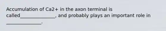 Accumulation of Ca2+ in the axon terminal is called_______________, and probably plays an important role in _______________.