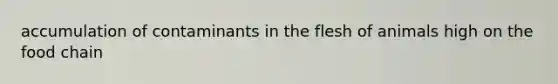 accumulation of contaminants in the flesh of animals high on the food chain