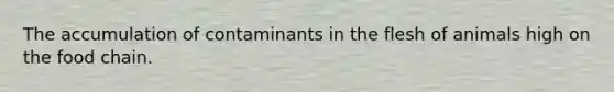 The accumulation of contaminants in the flesh of animals high on the food chain.