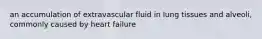 an accumulation of extravascular fluid in lung tissues and alveoli, commonly caused by heart failure