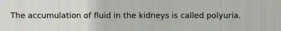 The accumulation of fluid in the kidneys is called polyuria.