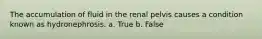 The accumulation of fluid in the renal pelvis causes a condition known as hydronephrosis. a. True b. False