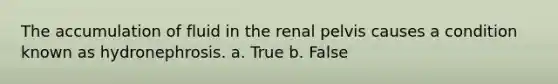 The accumulation of fluid in the renal pelvis causes a condition known as hydronephrosis. a. True b. False