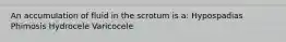 An accumulation of fluid in the scrotum is a: Hypospadias Phimosis Hydrocele Varicocele