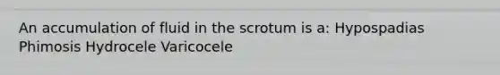 An accumulation of fluid in the scrotum is a: Hypospadias Phimosis Hydrocele Varicocele