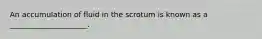 An accumulation of fluid in the scrotum is known as a _____________________.