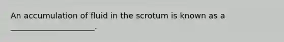 An accumulation of fluid in the scrotum is known as a _____________________.