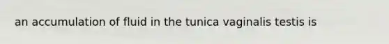 an accumulation of fluid in the tunica vaginalis testis is