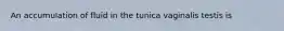 An accumulation of fluid in the tunica vaginalis testis is