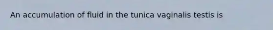 An accumulation of fluid in the tunica vaginalis testis is