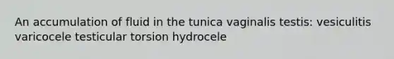 An accumulation of fluid in the tunica vaginalis testis: vesiculitis varicocele testicular torsion hydrocele