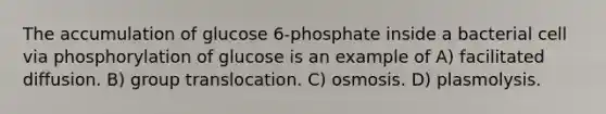 The accumulation of glucose 6-phosphate inside a bacterial cell via phosphorylation of glucose is an example of A) facilitated diffusion. B) group translocation. C) osmosis. D) plasmolysis.